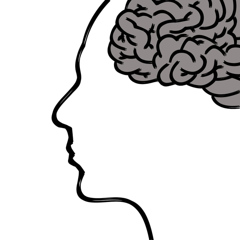 Human Brain